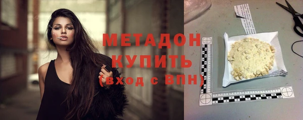 шишки Арсеньев
