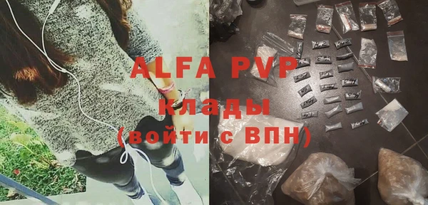шишки Арсеньев
