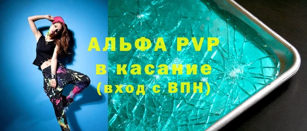 шишки Арсеньев