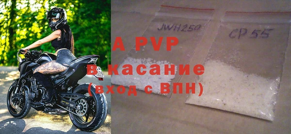 шишки Арсеньев