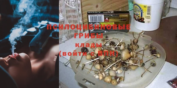 каннабис Аркадак