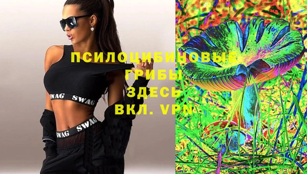 шишки Арсеньев