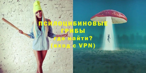 шишки Арсеньев