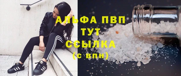 шишки Арсеньев