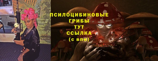 шишки Арсеньев